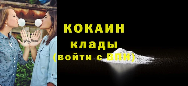 соль ск Кукмор
