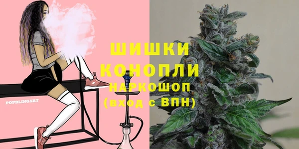 дживик Корсаков