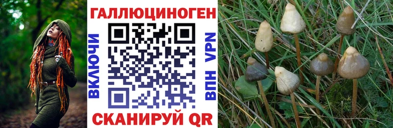 Псилоцибиновые грибы мухоморы  MEGA вход  Санкт-Петербург  продажа наркотиков 