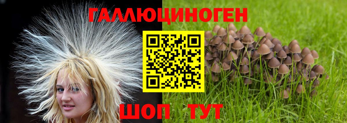Псилоцибиновые грибы MAGIC MUSHROOMS Санкт-Петербург
