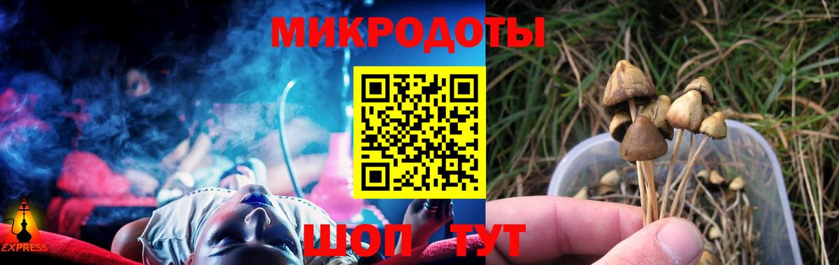 Галлюциногенные грибы Magic Shrooms  Псилоцибиновые грибы Cubensis  закладка  Санкт-Петербург  Вход с VPN 