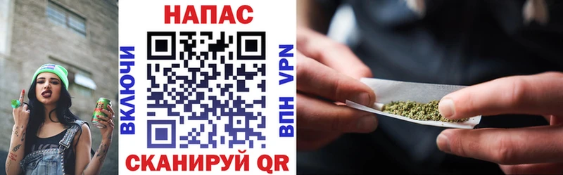 где купить наркотик  Санкт-Петербург  Конопля план 
