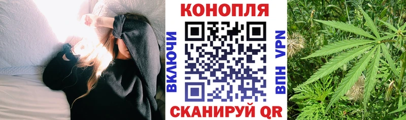 Канабис марихуана Санкт-Петербург